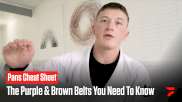 Colored Belt Cheat Sheet: The Purple & Brown Belts To Know At IBJJF Pans