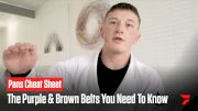 The Purple & Brown Belts You Need To Know At Pans