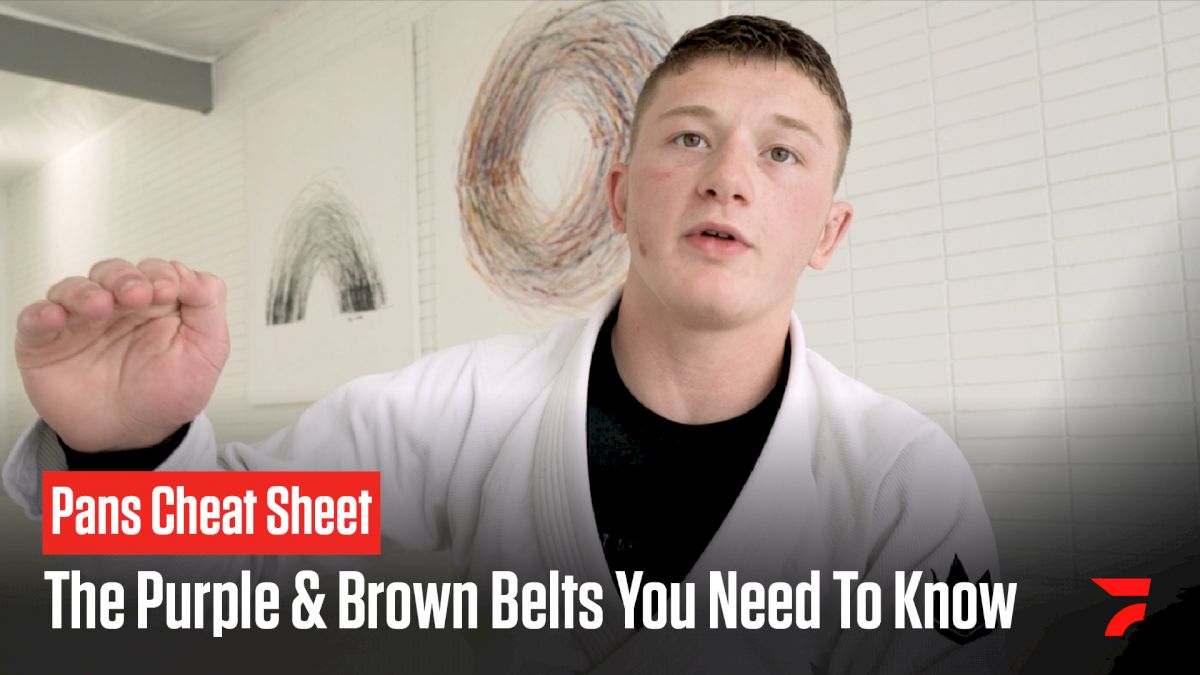 Colored Belt Cheat Sheet: The Purple & Brown Belts To Know At IBJJF Pans