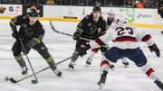 Iowa Heartlanders Enduring Uphill Battle In ECHL Central Division