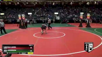 110 lbs Semifinal - Lincoln James, BTWA vs Ben Anderson, MEW3