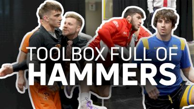 Toolbox full of HAMMERS