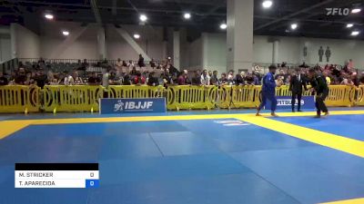 MELISSA STRICKER vs THAYNARA APARECIDA 2023 American National IBJJF Jiu-Jitsu Championship