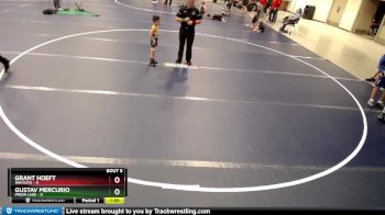 45 lbs Round 2 (6 Team) - Gustav Mercurio, Prior Lake vs Grant Hoeft, Wayzata