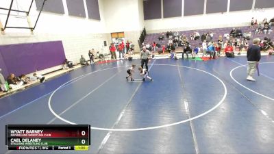 43 lbs Quarterfinal - Wyatt Barney, Payson Lion Wrestling Club vs Cael DeLaney, Stallions Wrestling Club