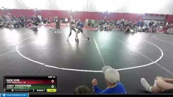 113 lbs Semis & 1st Wb (8 Team) - Nick Svir, Thief River Falls vs Cody Vandemark, Ankeny Centennial B