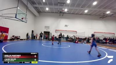 46 lbs Round 3 - Camri Bales, Eastside United vs Amillia Martinez, Riverton USA Wrestling