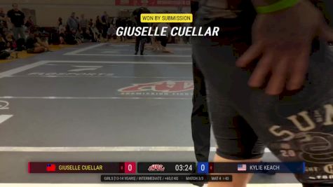 Henrique Ferreira vs Wyatt Gardner 2024 ADCC Austin Open