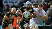 Is It Deja Vu All Over Again For Wasps?