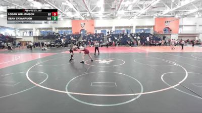 165 lbs Cons. Round 2 - Logan Williamson, RIT vs Sean Cavanaugh, Norwich