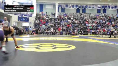 126 lbs Champ. Round 2 - Mackey McClelland, Yale vs Gabe Stevens, Swanton