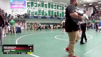 126 lbs Champ. Round 1 - Dom Demastus, Springfield (Akron) vs Vincent Skiba, Brunswick