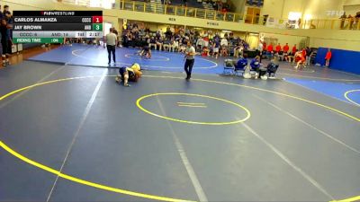 157 lbs Round 3 (6 Team) - Carlos Almanza, Cloud County Community College vs Jay Brown, Andrew College