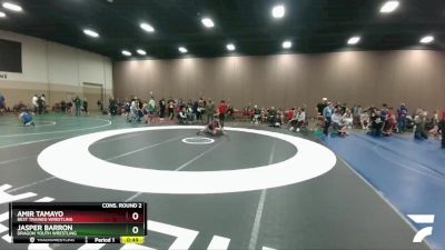 82 lbs Cons. Round 2 - Jasper Barron, Dragon Youth Wrestling vs Amir Tamayo, Best Trained Wrestling