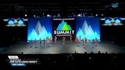 The Dance Vault - Mini Elite Large Variety [2025 Mini - Variety Prelims] 2025 The Dance Summit