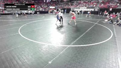 D1-165 lbs Champ. Round 1 - Jacob Herm, Neenah vs Henrik Kellogg, Brookfield Central