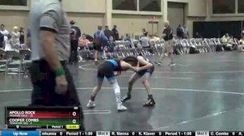 65 lbs Finals (2 Team) - Cooper Combs, Tennessee Red vs Apollo Rock, Missouri Gold
