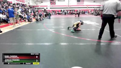 45-50 lbs Quarterfinal - Adrian Pineiro, Iron Knights vs Kael Cadena, Northwest Grapplers