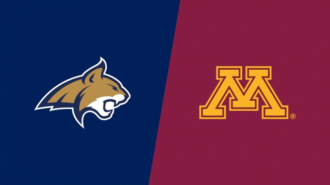 Minnesota vs Montana State