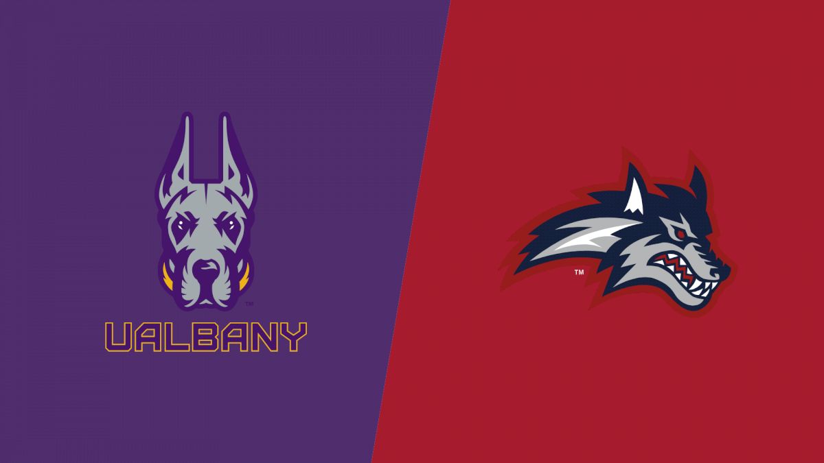 How to Watch: 2019 UAlbany vs Stony Brook | CAA Football