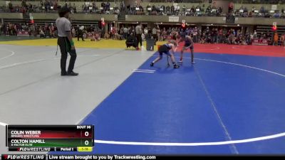 100 lbs Semifinal - Colin Weber, Ringers Wrestling vs Colton Hamill, X-Factor Elite