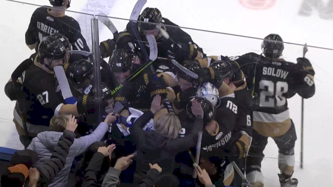 WATCH: Newfoundland's Jonny Tychonick Ends Game 4 Late In OT