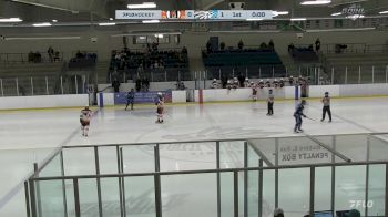 Replay: Home - 2025 Fort Erie vs Caledonia | Jan 19 @ 7 PM