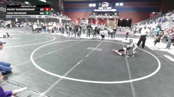 37 lbs Quarterfinal - Wacey Wasserburger, Beef Lab vs Lucia Reynolds, Windy City WC