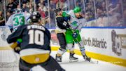 Florida Everblades Eliminate Growlers In OT, Advance To Kelly Cup Finals