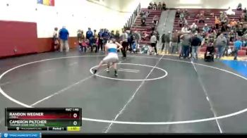 138 lbs Cons. Round 4 - Randon Wegner, Lovell vs Cameron Piltcher, Thunder Basin High School