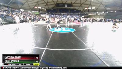 125 lbs Cons. Semi - Noah Cardens, Washington vs Matthew Gibson, Reactor Wrestling Club