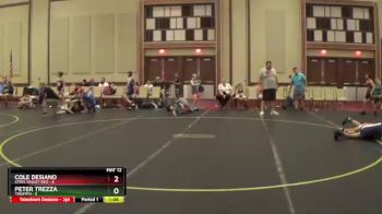 78 lbs Semis & 1st Wrestleback (8 Team) - Cole Desiano, Steel Valley Red vs Peter Trezza, Triumph