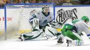 Florida Everblades One Win Away From Another Kelly Cup After Game 3 Victory