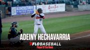 FloBaseball Player Of The Week: Long Island Ducks' Adeiny Hechavarria