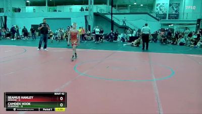 92 lbs Round 9 (10 Team) - Camden Hook, Scorpions vs SEAMUS HANLEY, RedNose