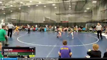 135 lbs Round 1 (4 Team) - Paxton Nedved, South Dakota Blizzard vs Gage Ries, Iowa Blue