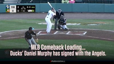 Highlights:  Long Island Ducks' Daniel Murphy