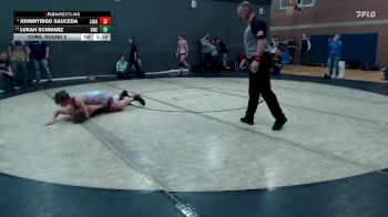 140 lbs Cons. Round 5 - JohnnyRigo Sauceda, All In Wrestling Academy vs Lukah Schwarz, Bonneville Wrestling Club