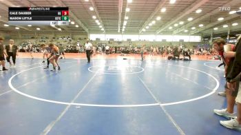 90 lbs Quarterfinal - Cale Dauber, Ohio Gold vs Mason Little, Team Gotcha National