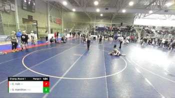 144 lbs Champ. Round 1 - Grey Hamilton, Evanston Elite Wrestling vs Cameron Holt, Stallions Wrestling Club