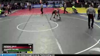 II-102 lbs 7th Place Match - Anthony Valls, Chenango Valley vs Dominick Callara, Medina