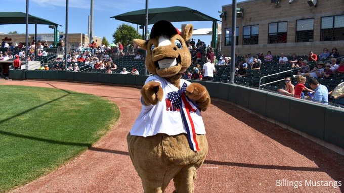 Quad Cities River Bandits Win Inaugural Minor League Field Of