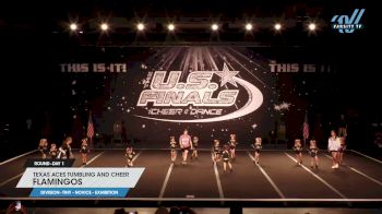 Texas Aces Tumbling and Cheer - Flamingos [2023 L1 Tiny - Novice - Exhibition Day 1] 2023 The U.S. Finals: Galveston