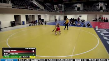 132 lbs Cons. Round 3 - Dom Ammerman, Holmen vs Calvin Miller, Shakopee