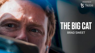 Sprint To The Million: The Big Cat