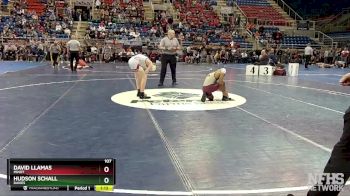 107 lbs Champ. Round 1 - David Llamas, Minot vs Hudson Schall, Davies