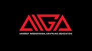 How Does AIGA Work? Rules Explainer For The Team-Based Grappling League