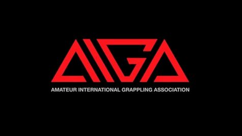 How Does AIGA Work? Rules Explainer For The Team-Based Grappling League