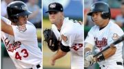 Tri-City ValleyCats Baseball: What To Know