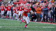 Stony Brook Football In 2023: What To Know About The Seawolves